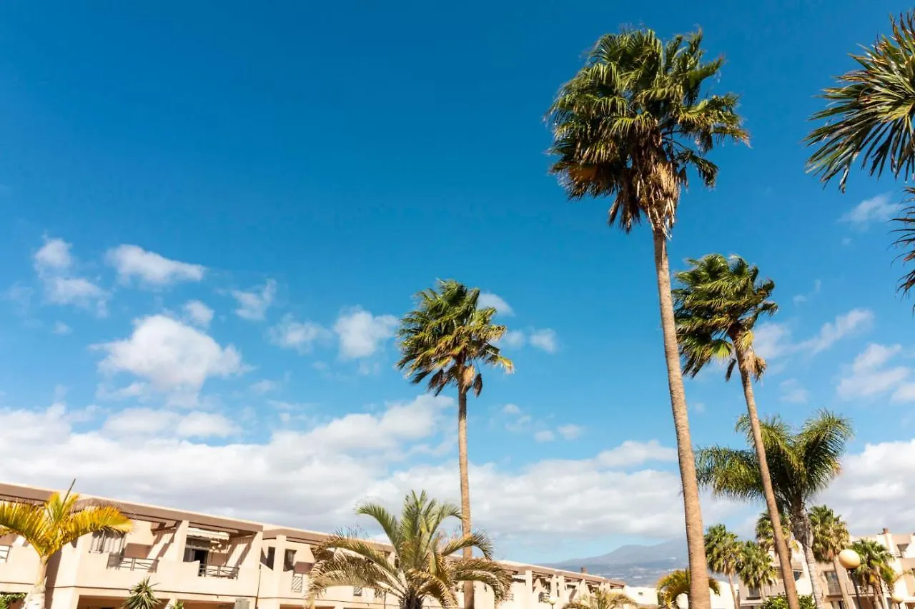 Homeforguest Spacious And Bright Flat On The Beach La Tejita Granadilla De Abona 0*,  Spanje